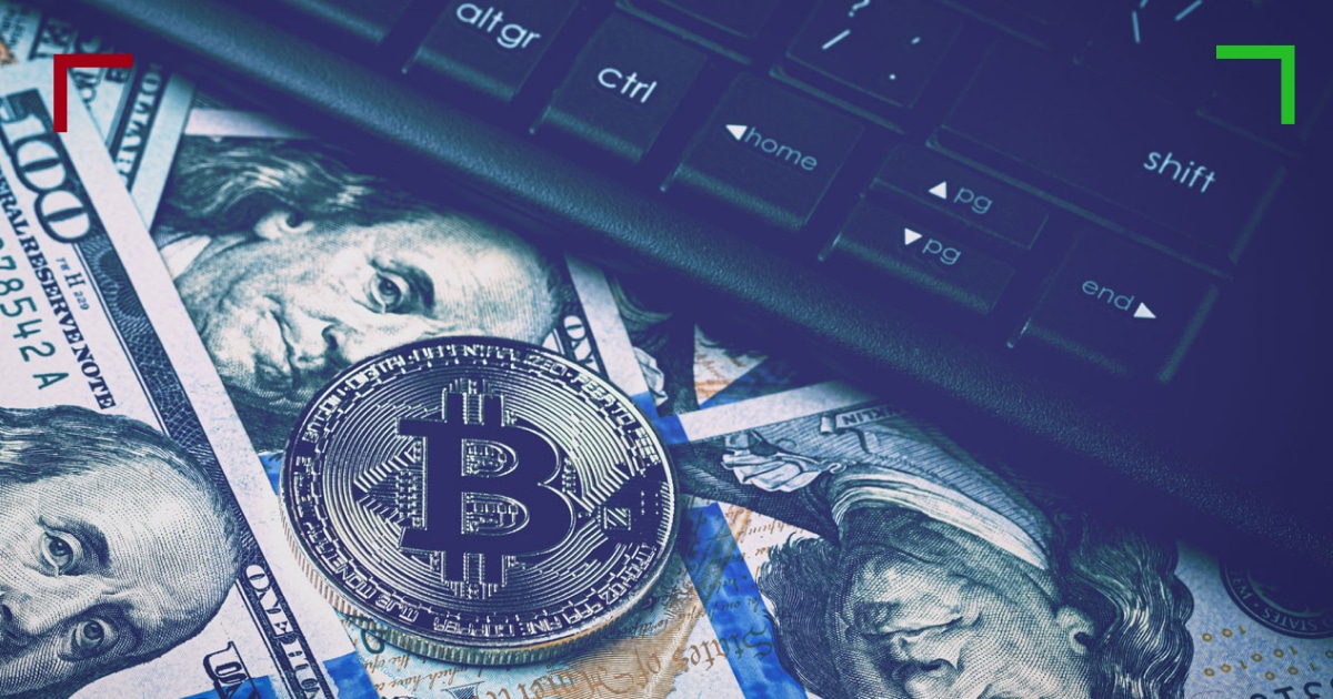 Expert Views: Top Tips from Crypto's Elite